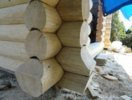 Log joints at foundations